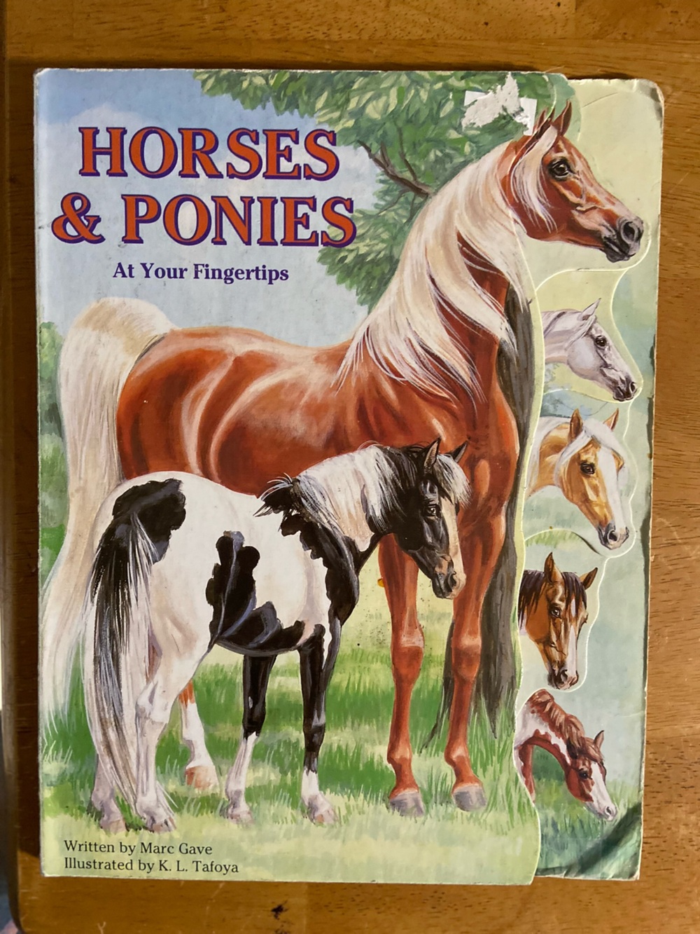 Children's Horse & Pony horses ponies Book Palamino black White Paint pinto bay